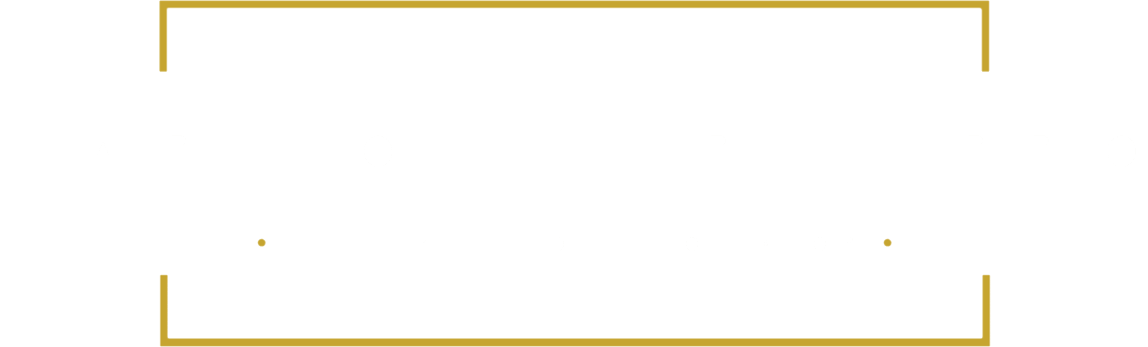 Car Concierge Pro